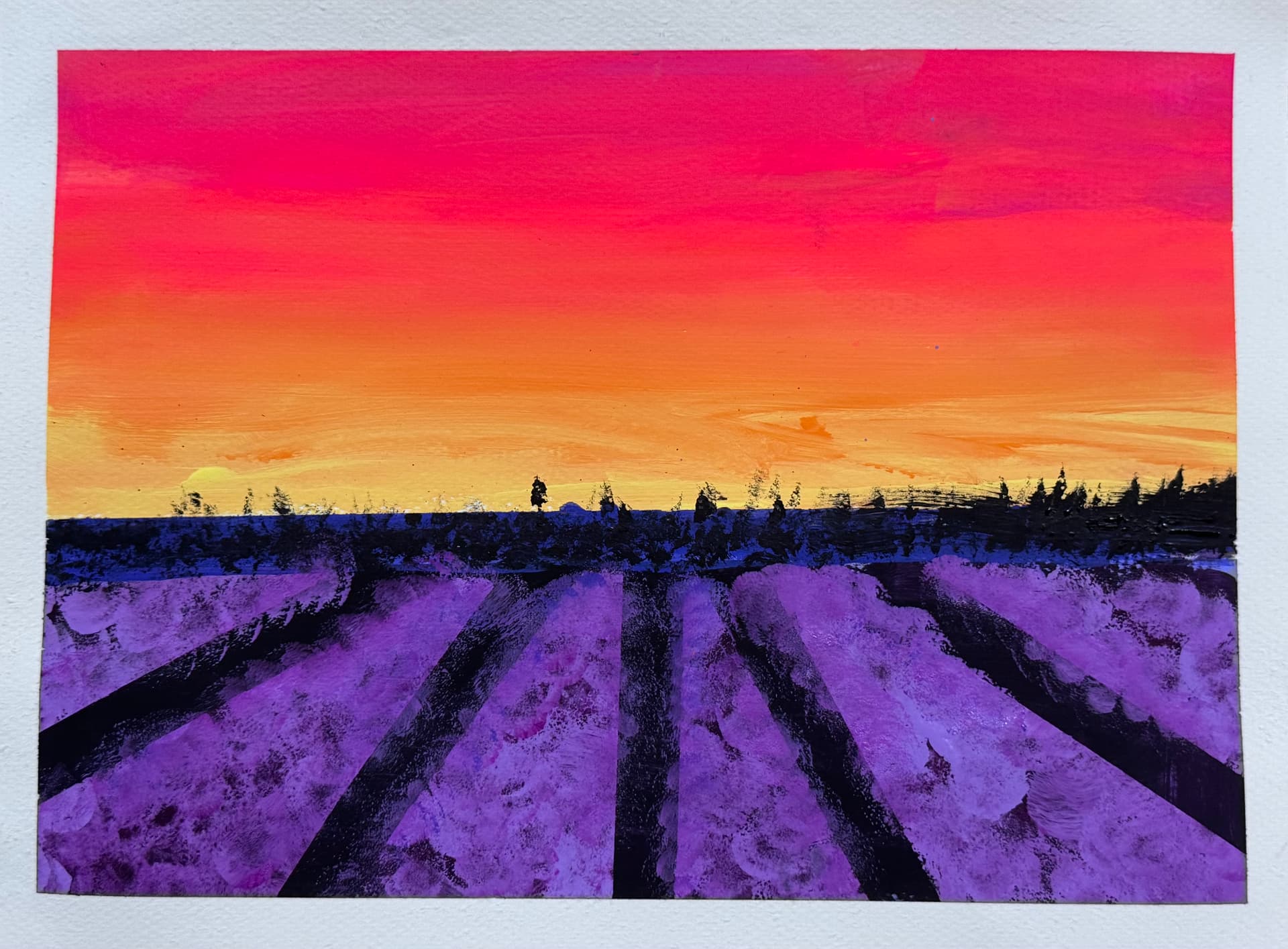 Lavender fields under a fiery orange and pink sunset